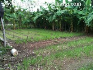 Paquito Rosales #63, Jiguani, Granma