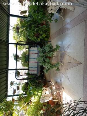 MACEO 189 ENTRE SOL Y LOMA