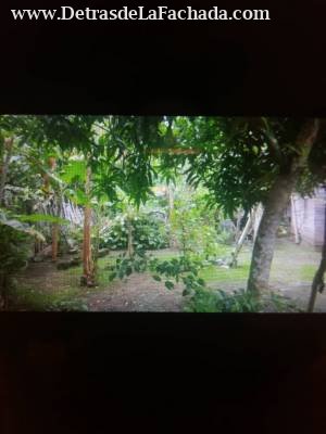 Los hoyos de sabanilla #71