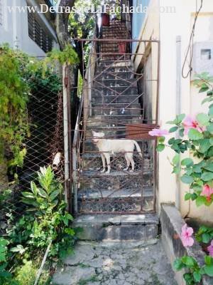 11 sur entre 5 y 6 oeste 1283 Altos