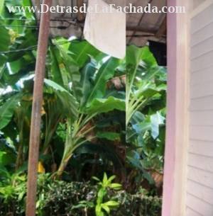 Portal and side aisle