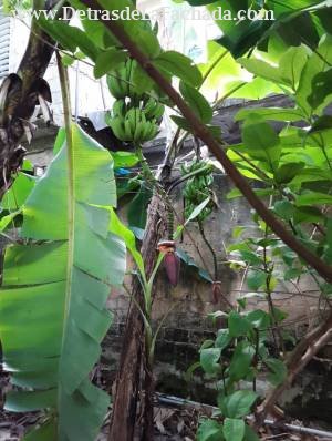 Figueroa y Santa Catalina