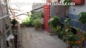 Backyard going free roof