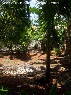 Calle 184 entre primera y quinta avenida Playas