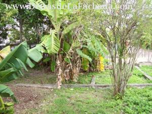 calle 1ra #56 e/t 2da y Final.