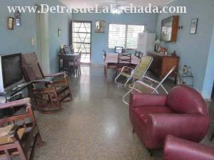 Living - dining room