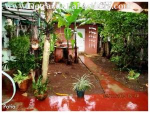 Patio (Vista desde Terraza + Cuarto Desahogo)