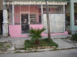 calle Flores 256