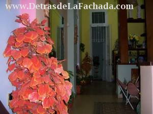 Neptuno 1169 e/ Infanta y Basarrate