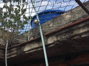 5 cuadras de la Calzada de Cerro y Primelles