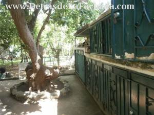 5ta C entre 88 y 88A