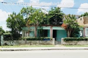 Güinera #82 / a y b