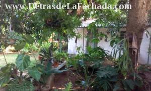 Backyard with fourth Annex...