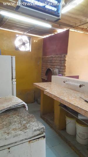 Horno de leña del salon