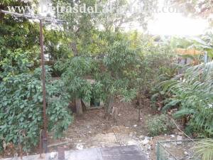 Rodriguez Fuentes #622