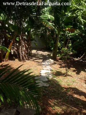 Calle 184 entre primera y quinta avenida Playas