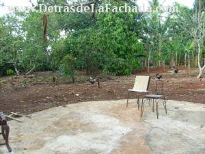 Caiman 5, Las Guasimas