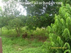 Calle Antonio Maceo Sin Numero /Ave.7 de diciembre y final municipio Boyeros Habana Cacahual