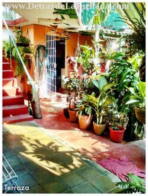 Terraza + Entrada Garaje