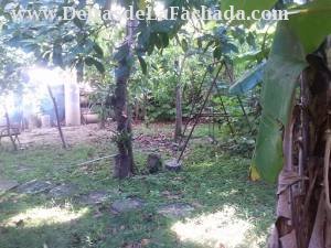 Cerca del cine Acapulco