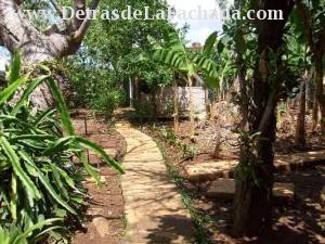 Caiman 5, Las Guasimas