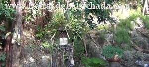 Parte tracera de la casa