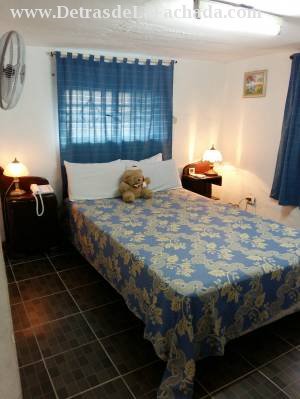 Concepcion % Delicias y Buena Ventura