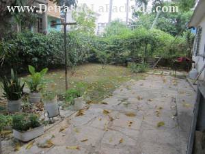 Patio casehardened and ground with mango tree