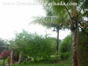 calle boulevard habana