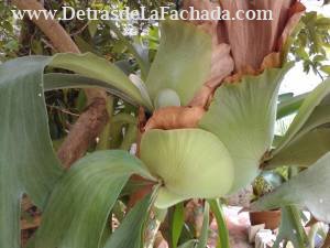 Ave. 233 No. 21038, e/ 235 y 216, Fontanar