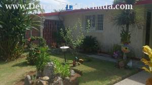 Panoramic view of the garden