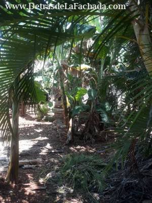 Calle 184 entre primera y quinta avenida Playas