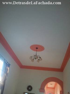 Ceiling plate perfect condition