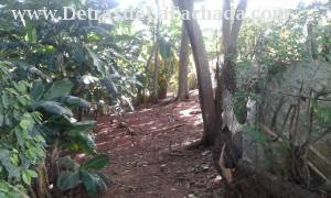 ave 277 s/n entre 208 y 214