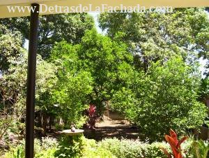 Reparto Santa Amalia