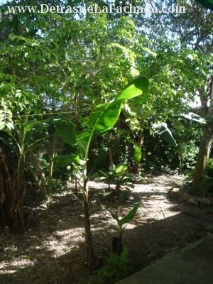 calle 2 No. 25 entre 3 y 5 Parcelacion Moderna