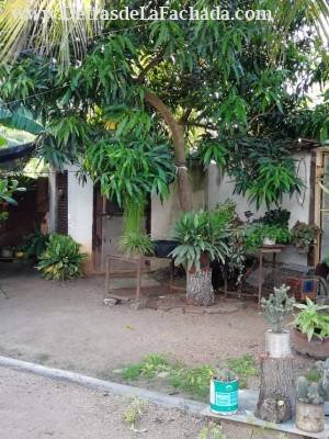 Calle 3. No. 3 entre línea y 2 Santa Lucia, C. P. 77600