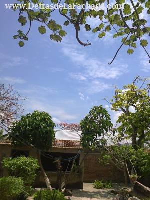 Ignacio agramonte 117.