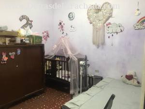 Santa rita #26814 / tirry y San Diego