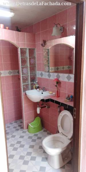 San Luis entre San Juan de dios y santa rita