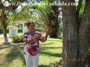 calle g # 57 viviendas campesinas aguacate