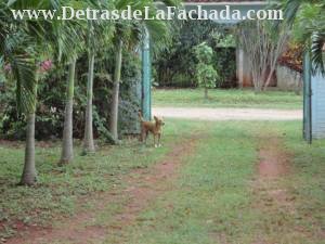 calle g # 57 viviendas campesinas aguacate