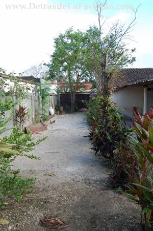Jardín patio lateral
