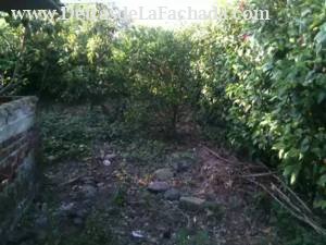 Calle 5ta del Ferrocarril #5A. Sector Campesino.