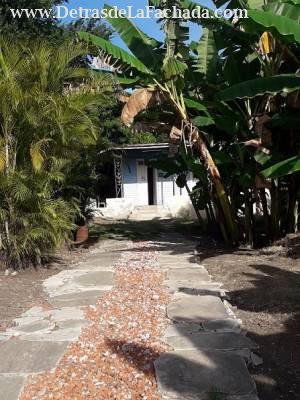 Avenida Federico Rey 677