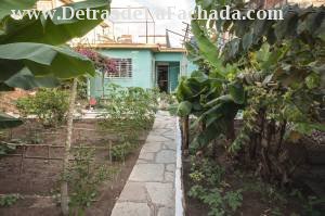 Patio land/fruits and food culture