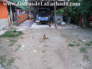 Side yard and garages