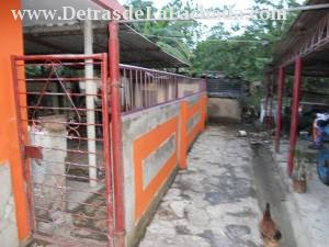 Hall to the backyard