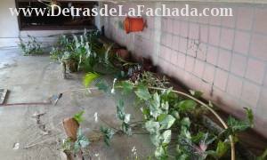 Calle 3ra. # 353 3/4. Entre F y G.