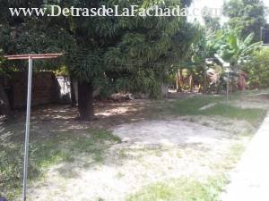 Patio de tierra con arboles